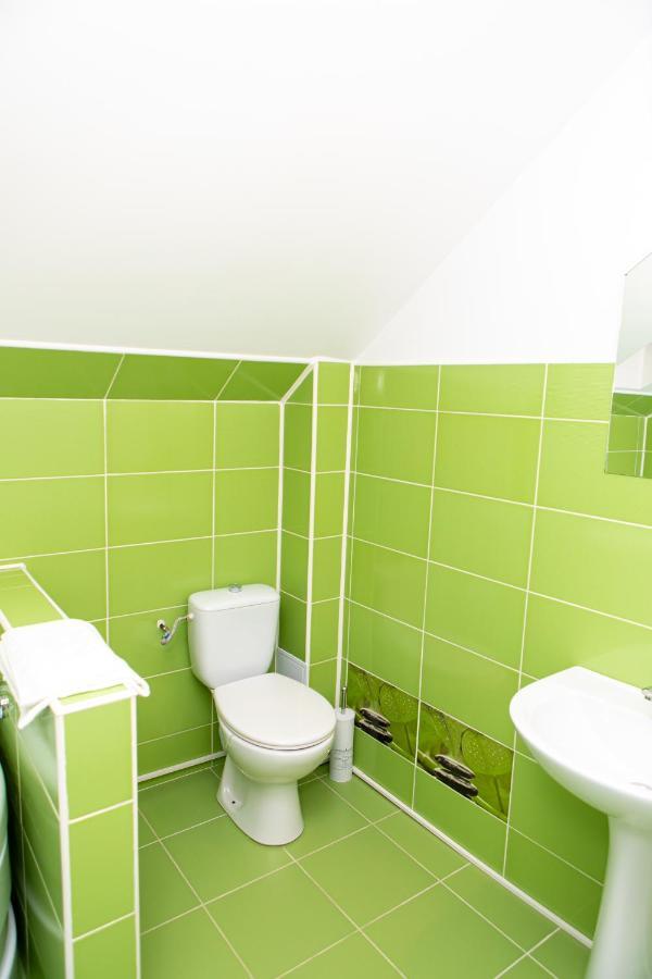Vila Elisabeta Braszów Zewnętrze zdjęcie